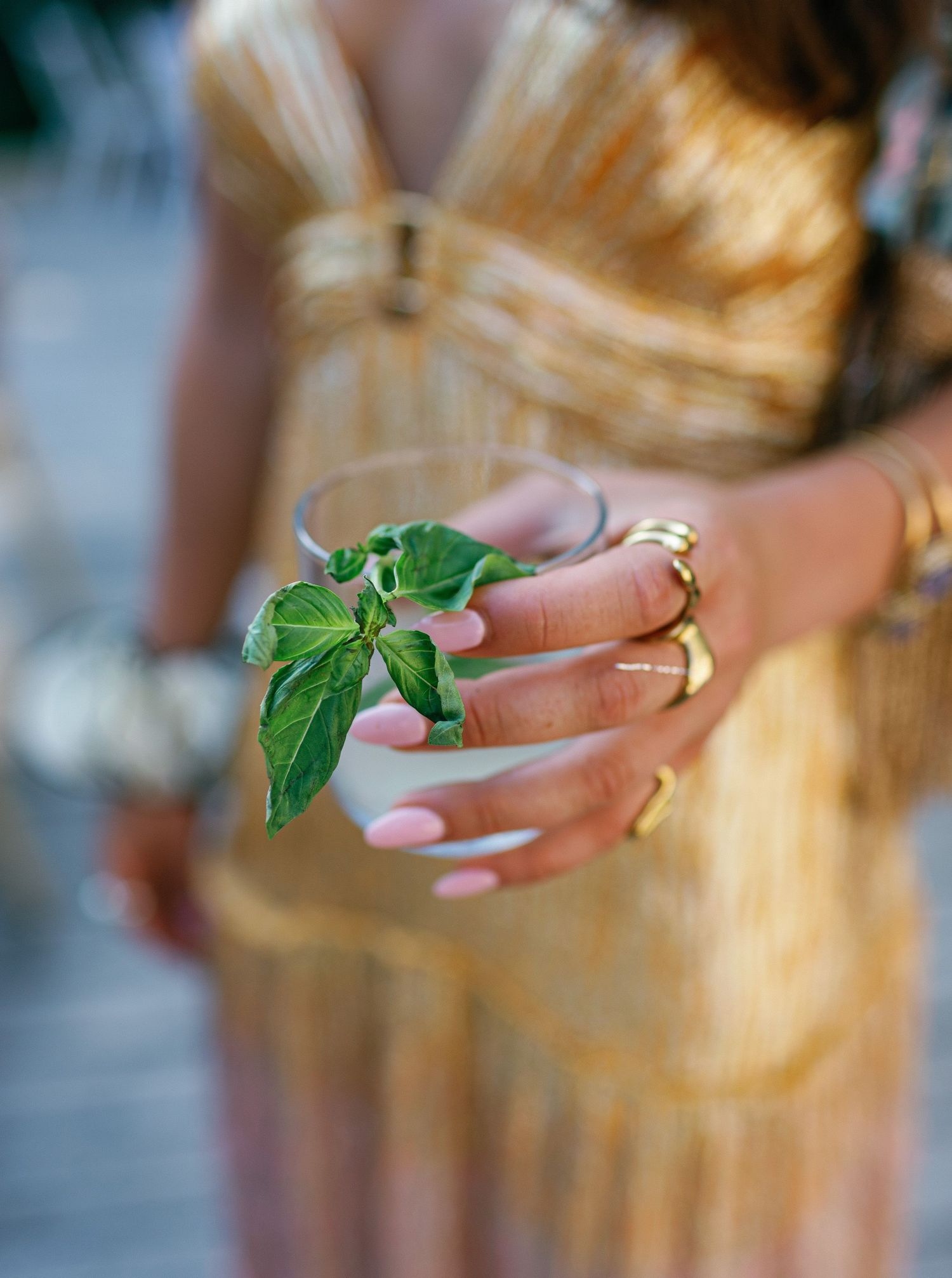Hands delicately hold a small green plant shoot against a soft focus background in golden sunlight.