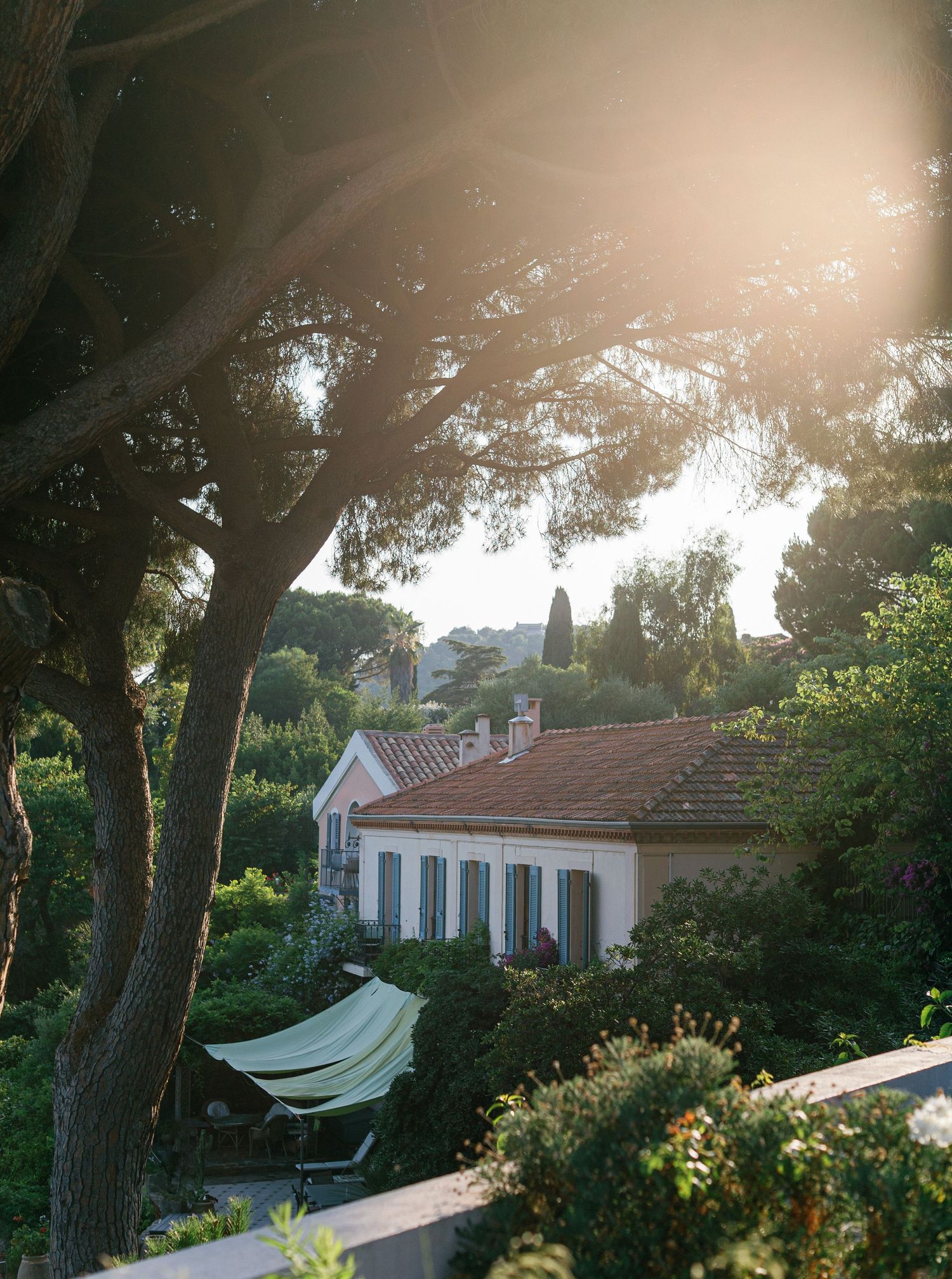 White beachfront cottages nestled among pine trees during sunset in a Mediterranean coastal setting.