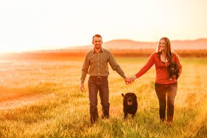 Romantic couple walking with black dog through golden field at sunset holding hands in warm autumn light.