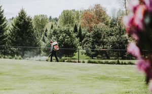 Pink cherry blossoms frame a sunny outdoor landscape view with lush green grass and trees.  Modern Pest Control treats a lawn for pests.