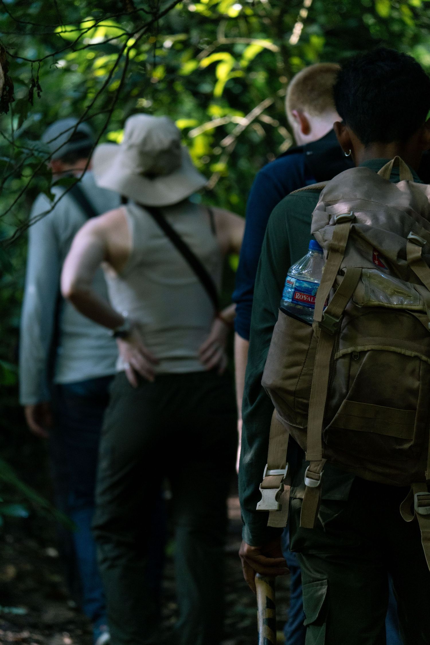 Group of wildlife observers stand in shaded forest area with backpacks and gear.