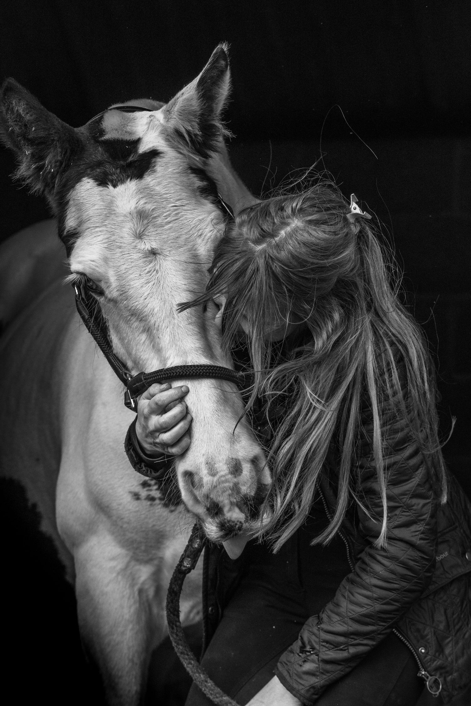 Equine mini shoots 2025