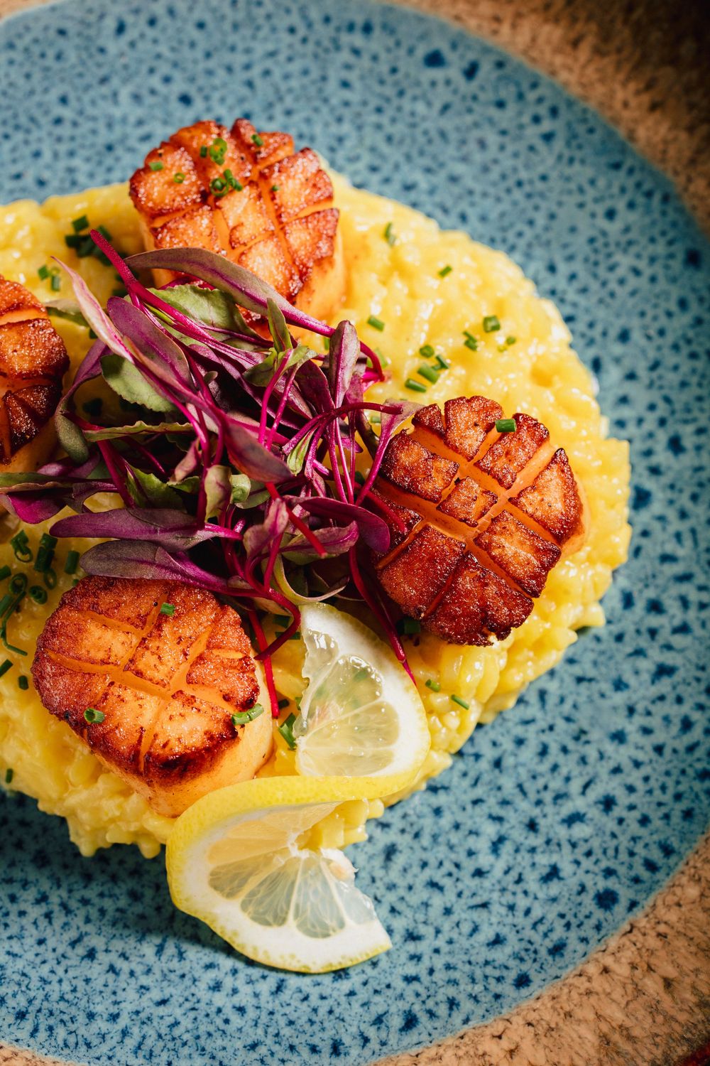Seared scallops served on creamy polenta with purple cabbage slaw and lemon slices on a textured blue plate.