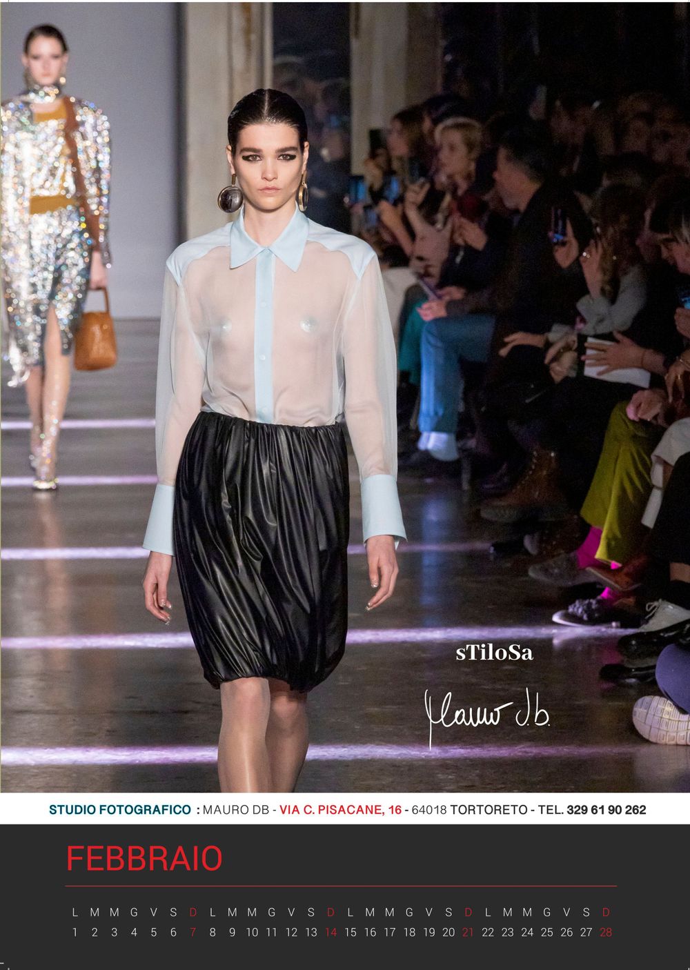 Runway fashion calendar photo featuring sheer blouse and pleated skirt for February.