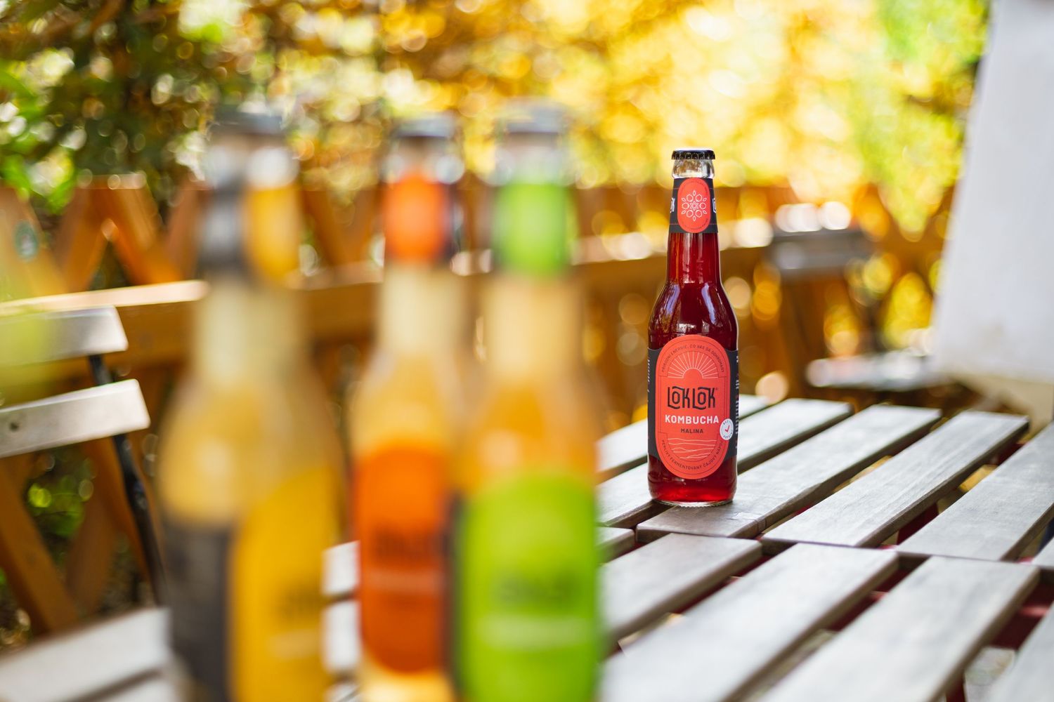 Loklok kombucha
