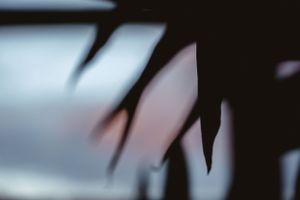 Abstract blurred shapes in soft focus against light and dark contrast.