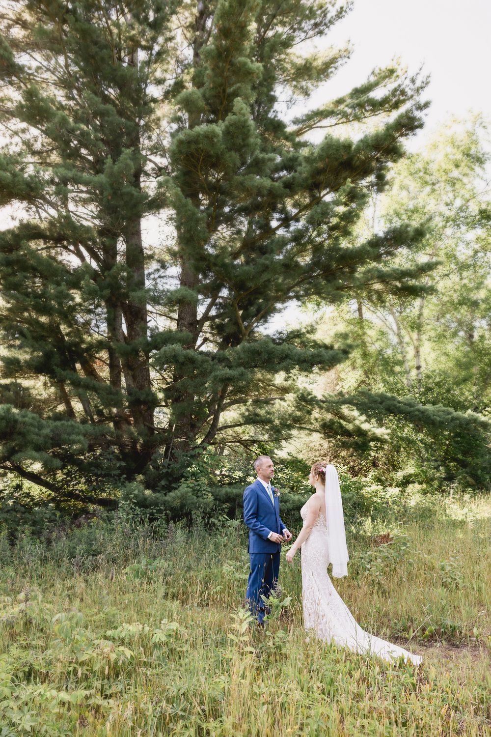 A couple in wedding attire stand together in a grassy field beneath tall evergreen trees on a sunny afternoon.