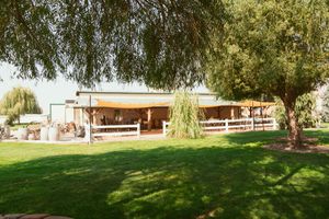 Scenic outdoor wedding venue with lush green trees and grass creating a natural backdrop.