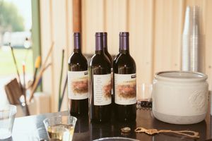 Wine bottles and drinking glasses arranged on table with rustic party decor.