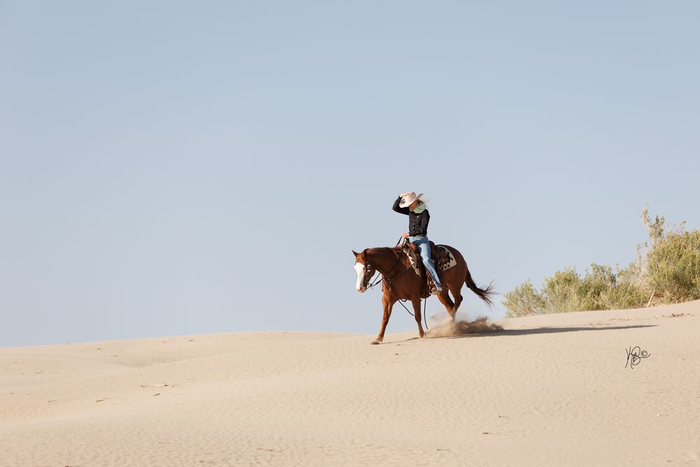 A horse and rider navigate sandy dunes under bright blue skies.