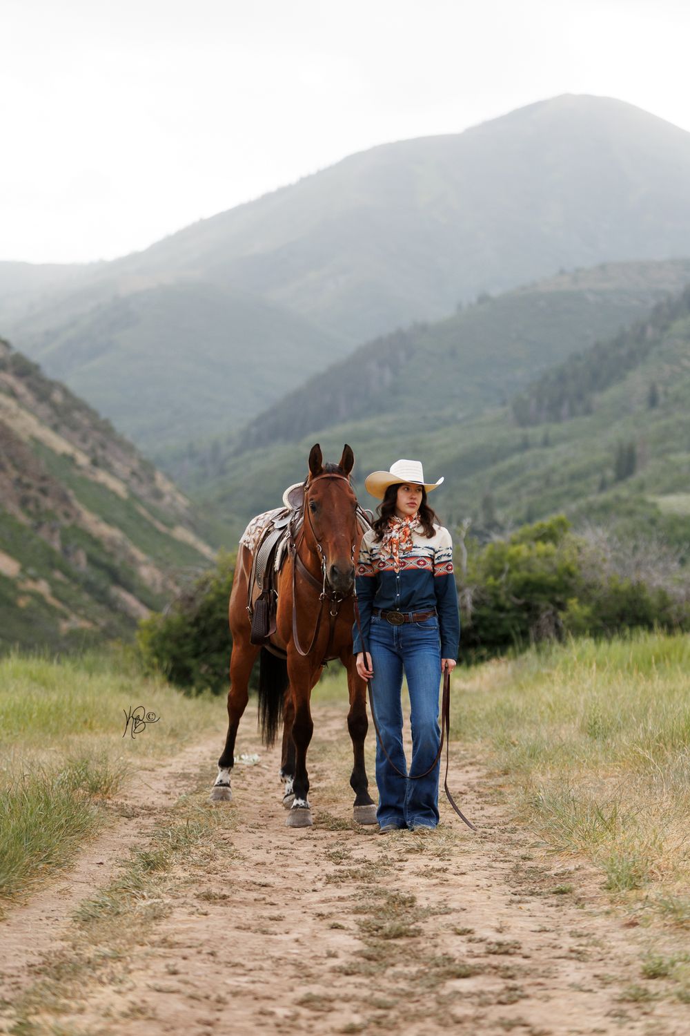 A brown horse and rider pause on a mountain trail surrounded by green hills.