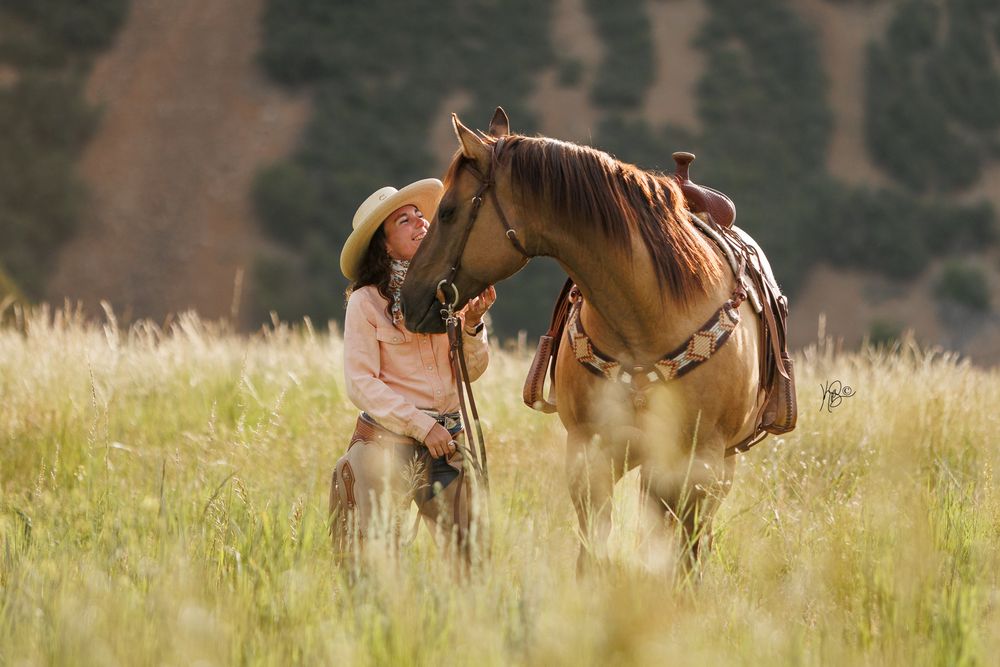 A brown horse with western tack stands in a sunlit mountain meadow.