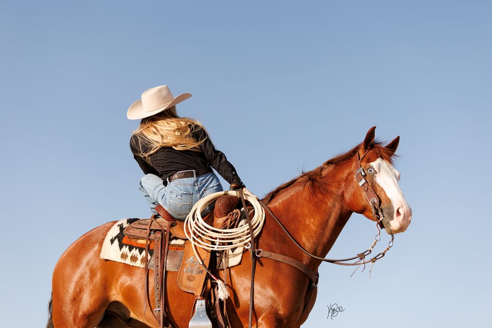 A cowgirl on a brown horse with western tack stands against a bright blue desert sky.