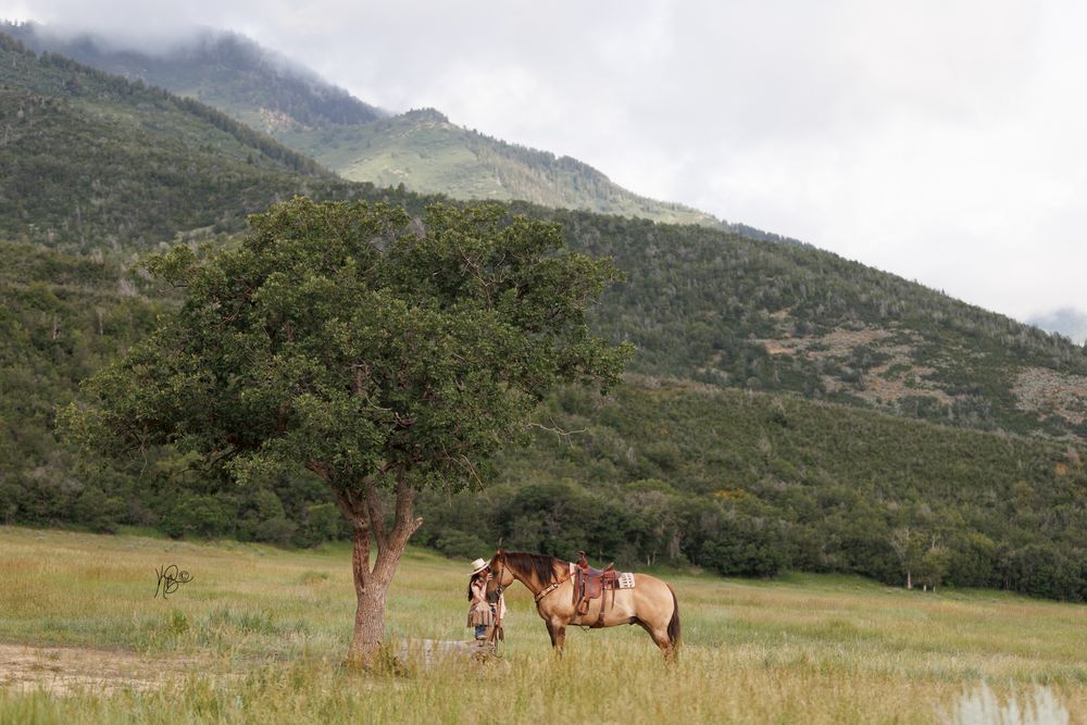 A young woman sitting on a rock, hugging the face of her horse, under a big tree and in western attire