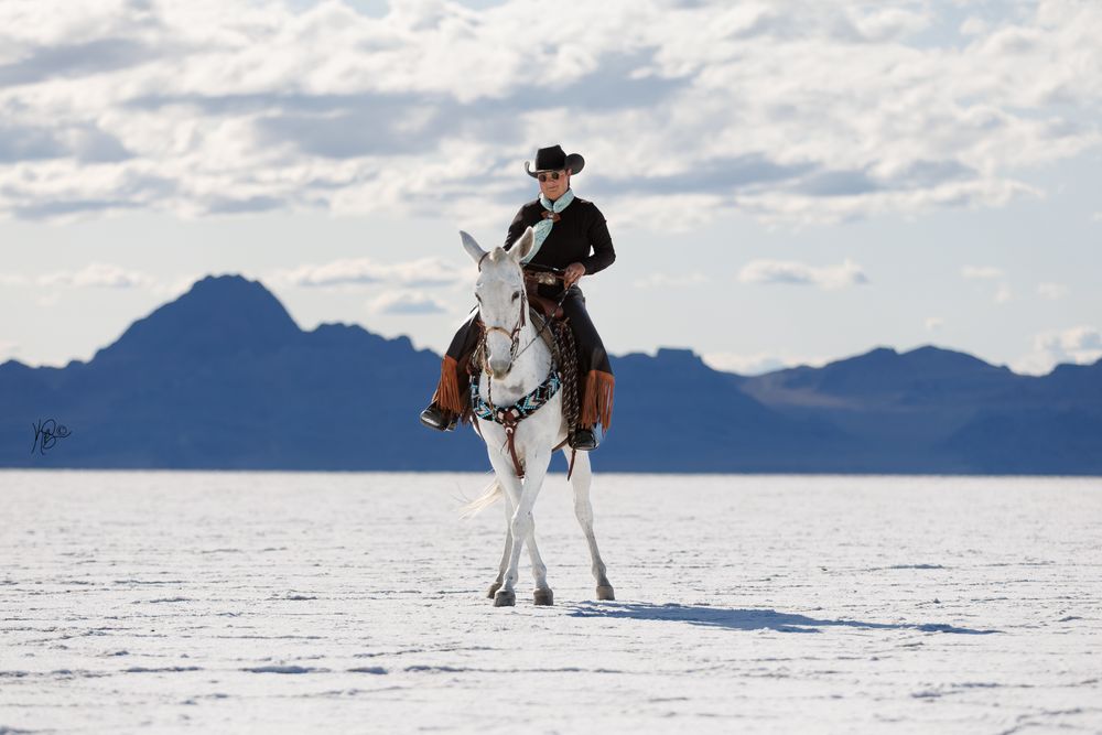 A cowgirl riding her grey mule in the Bonneville Salt Flats