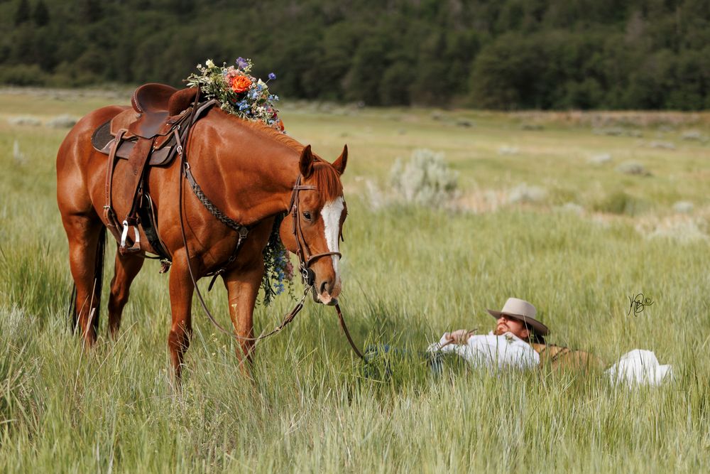A decorated chestnut horse with floral saddle arrangement stands in a grassy meadow, with a cowboy resting on the ground.