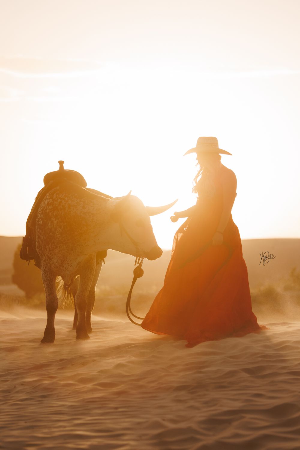 A silhouetted figure standing with a bull in a sandy setting at sunset.