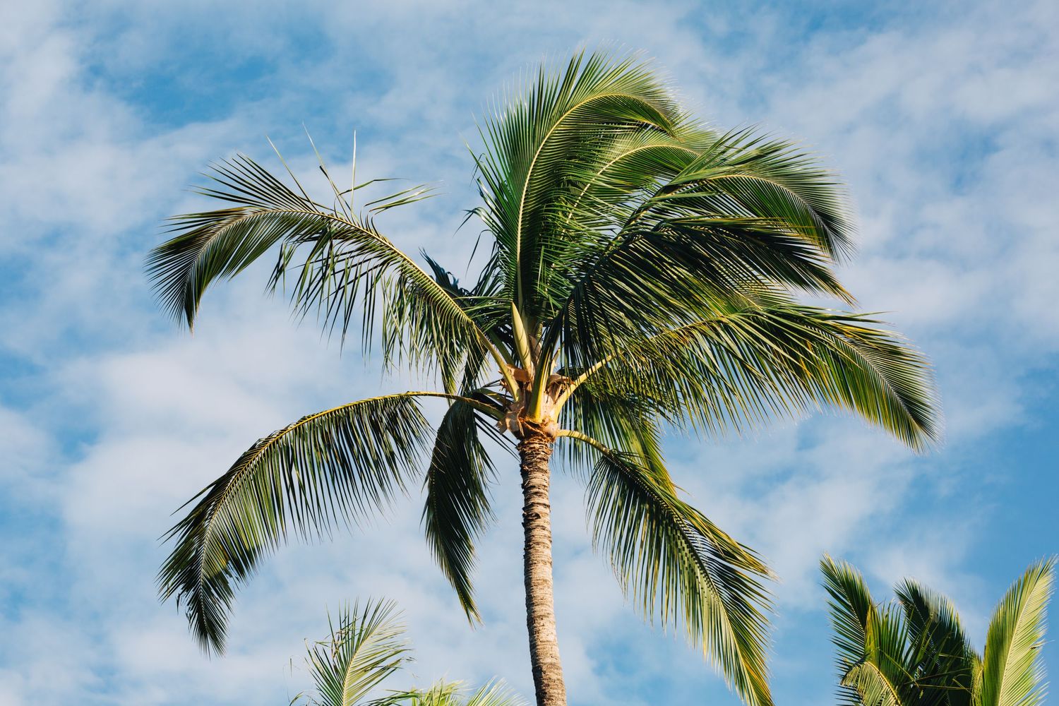maui wedding photographer faq