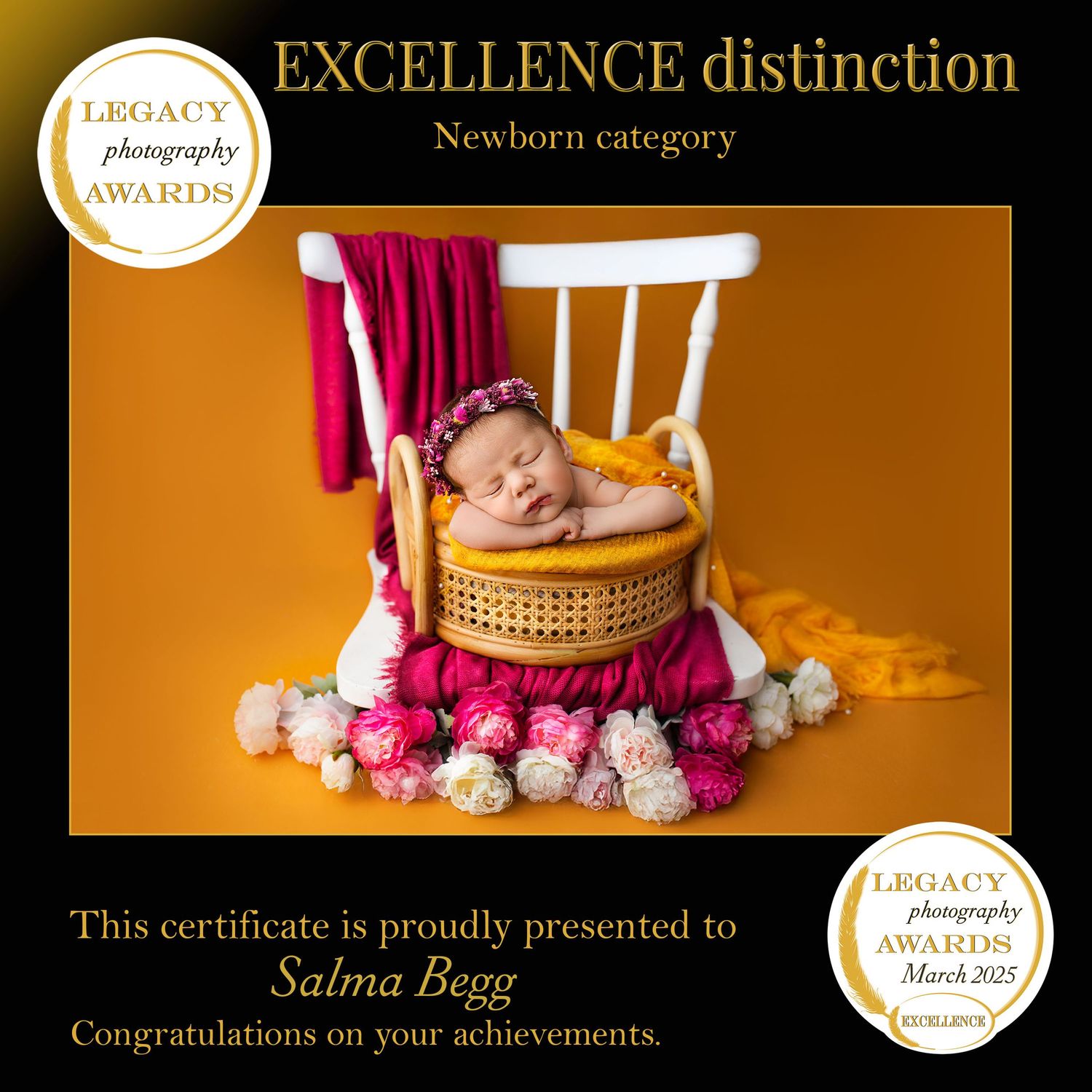 Photography award certificates and banners in gold and brown tones featuring an elegant newborn portrait design. baby, springfield lakes stu