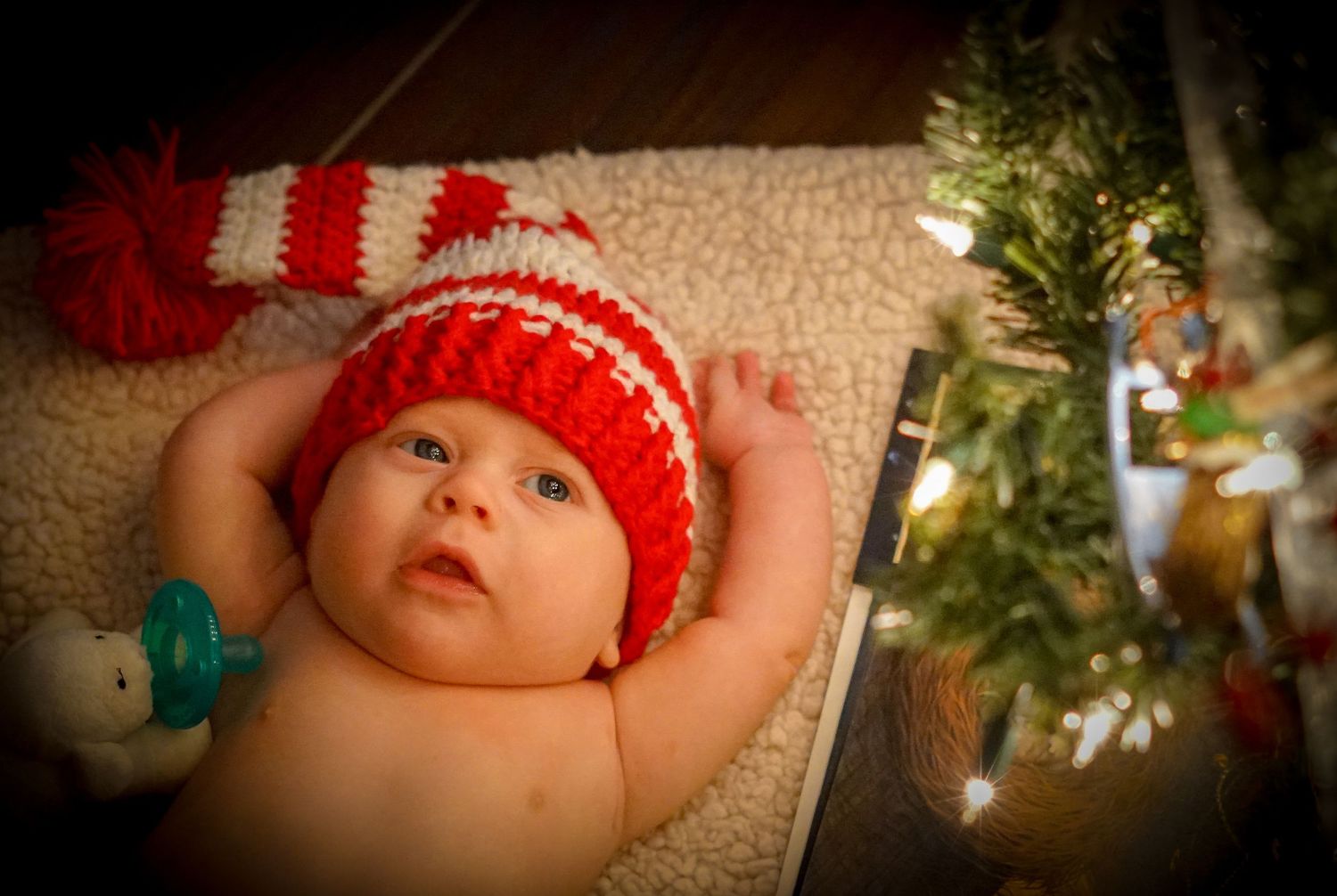Baby Christmas photos - WNC Smiles.com