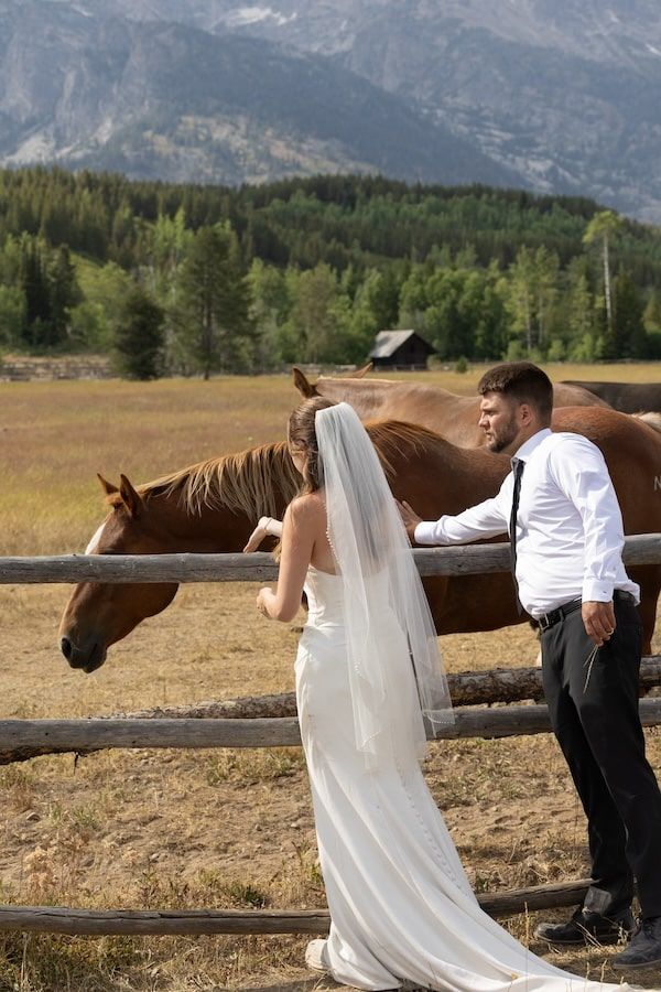 A couple in wedding attire share intimate moments with a brown horse in a mountain meadow with forest views.