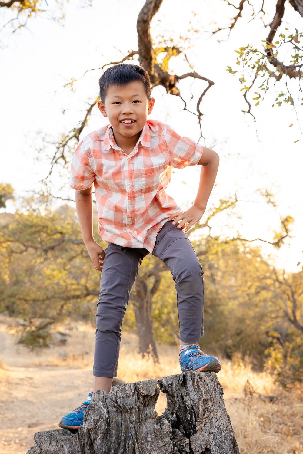 Boy on tree stump during golden hour photography session in San Jose with Cindy Tucey Photography