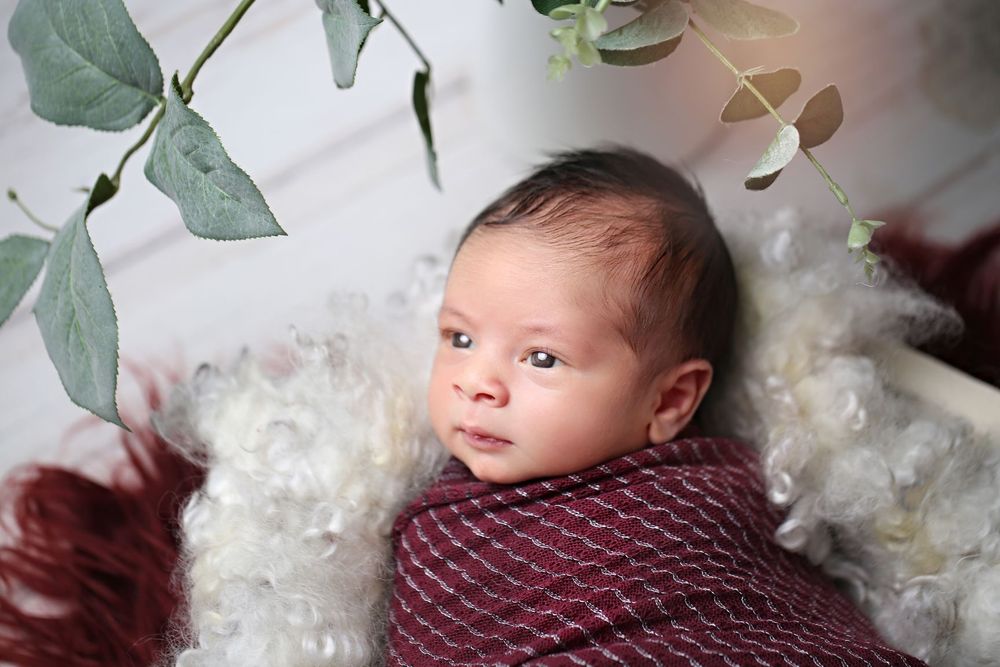 A newborn baby wrapped in burgundy swaddle lies on white fur with eucalyptus leaves in the background.