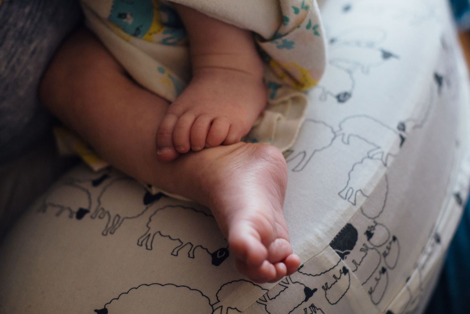 Tiny baby feet resting on a parent's lap – A tender and intimate close-up shot of baby feet, emphasizing warmth, connection
