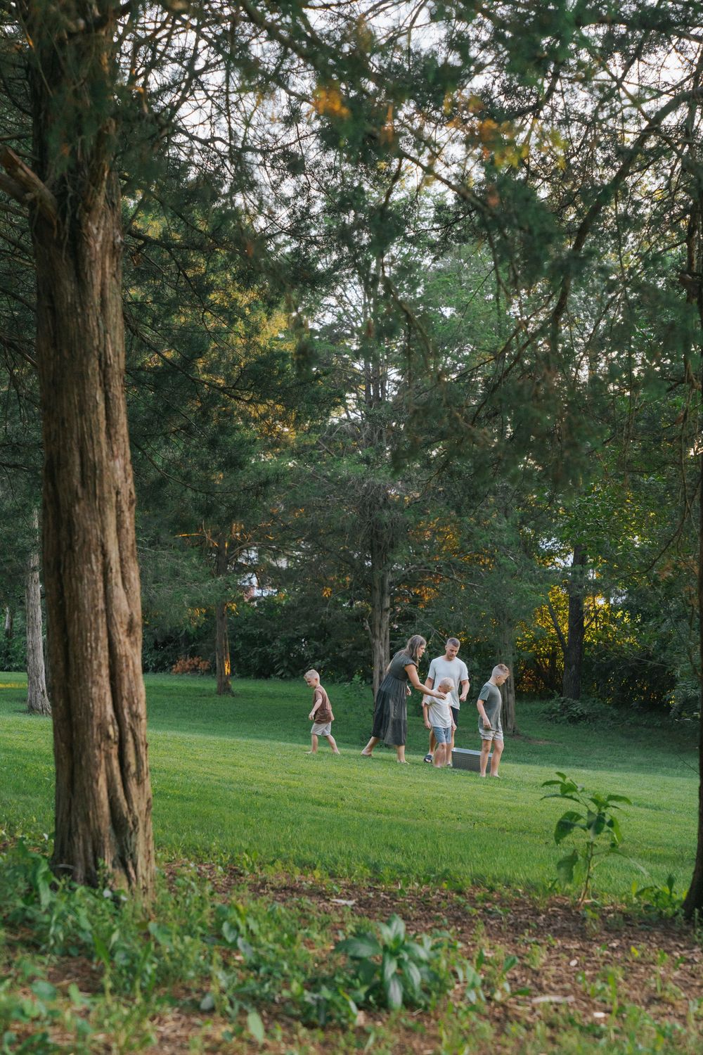 A group of people enjoying a peaceful walk on a grassy slope framed by tall trees in a tranquil park setting.