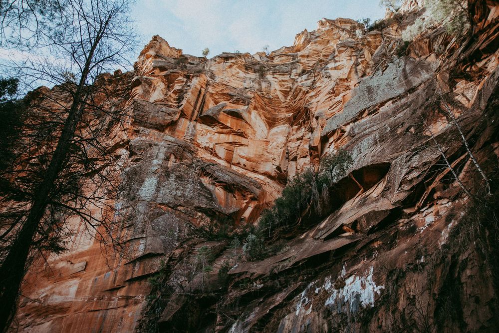 Red and orange cliffside of Sedona Arizona. Whitney Popp, Phoenix, Arizona.