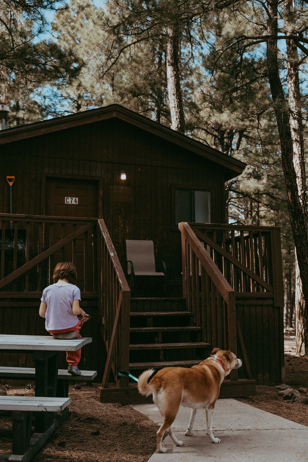 Little girl reads outside a log cabin with her yellow dog in the mountains. Whitney Popp, Phoenix, Arizona.