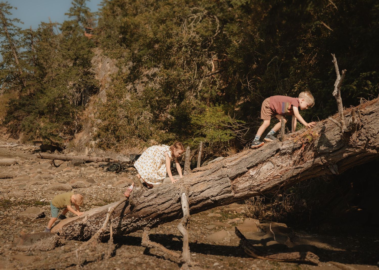 Two children climbing on a large fallen log in a forest near a rocky riverbed surrounded by trees.
