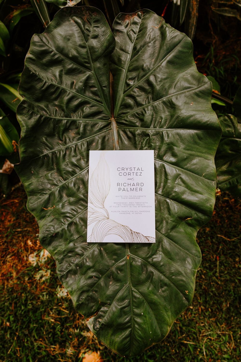 Elegant wedding invitation for Crystal Cortez and Richard Palmer displayed on large tropical green leaf.