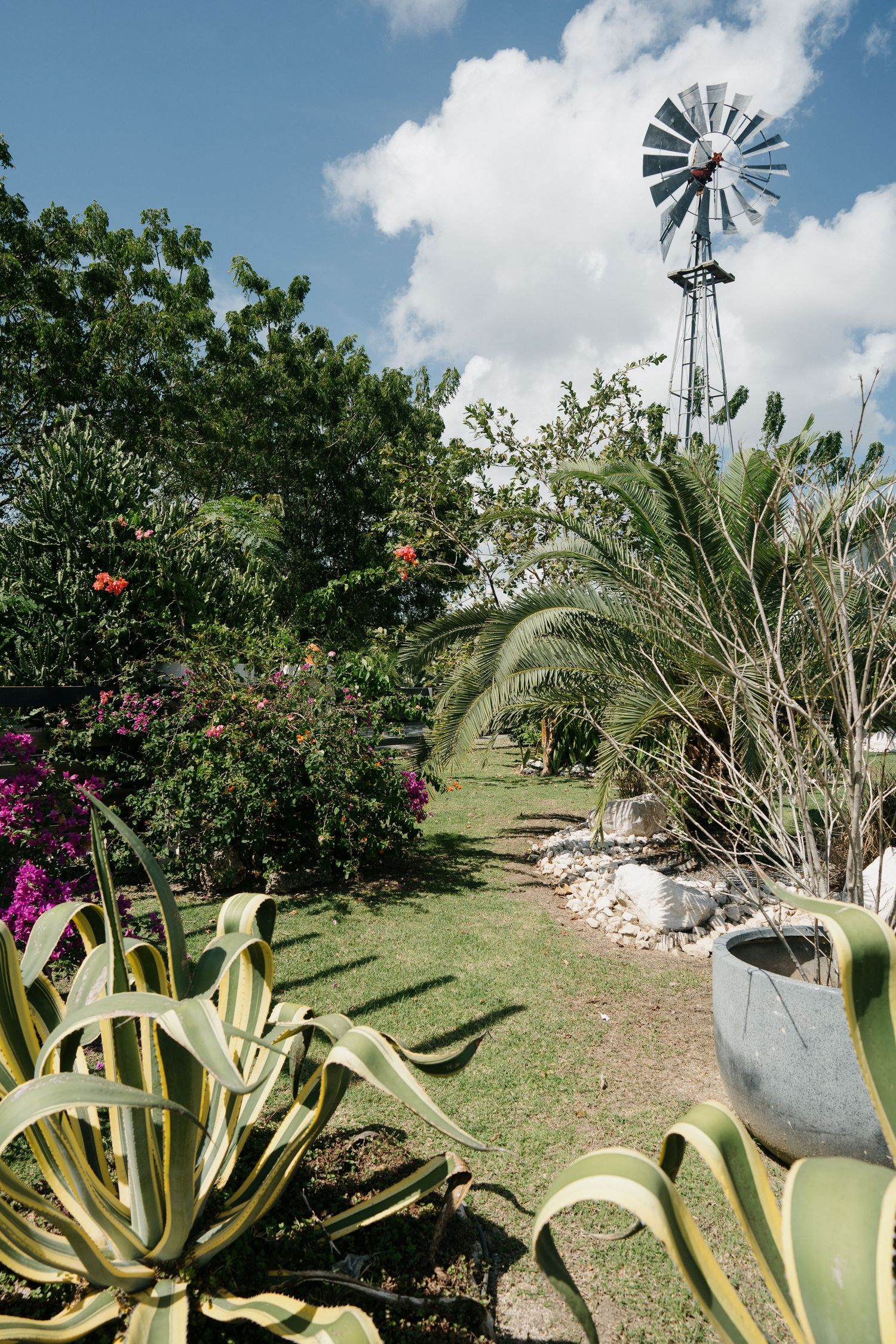 A tropical garden path at sunset with banana plants, palms and flowering bushes framing a wooden walkway.