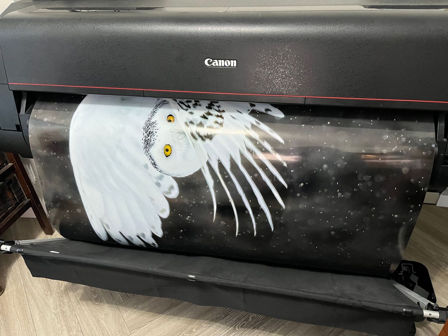 A Canon printer displays an artistic print of a white owl with spread wings against a dark background.