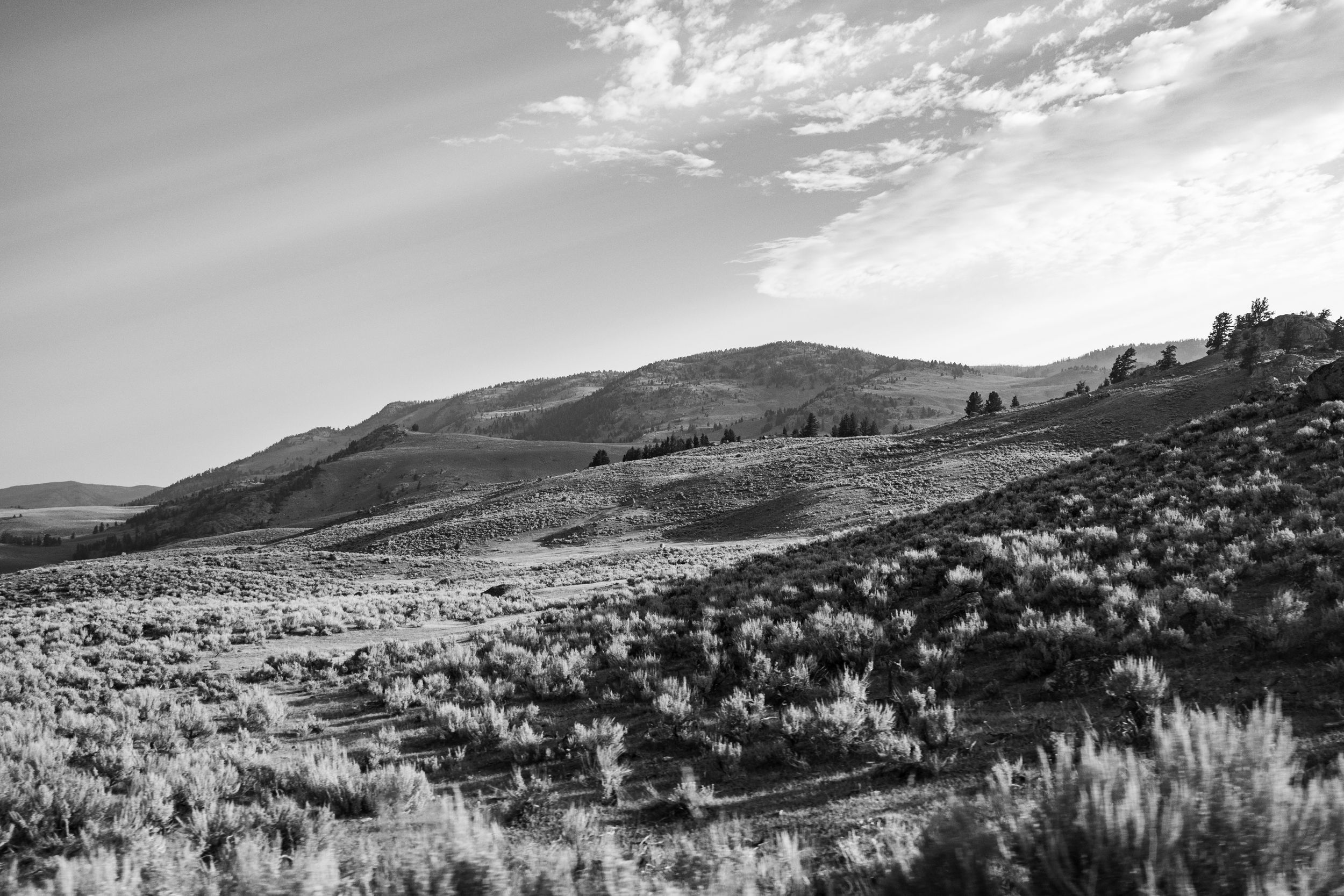 Black and white landscape of sagebrush plains with rolling hills and mountains under a partly cloudy sky.