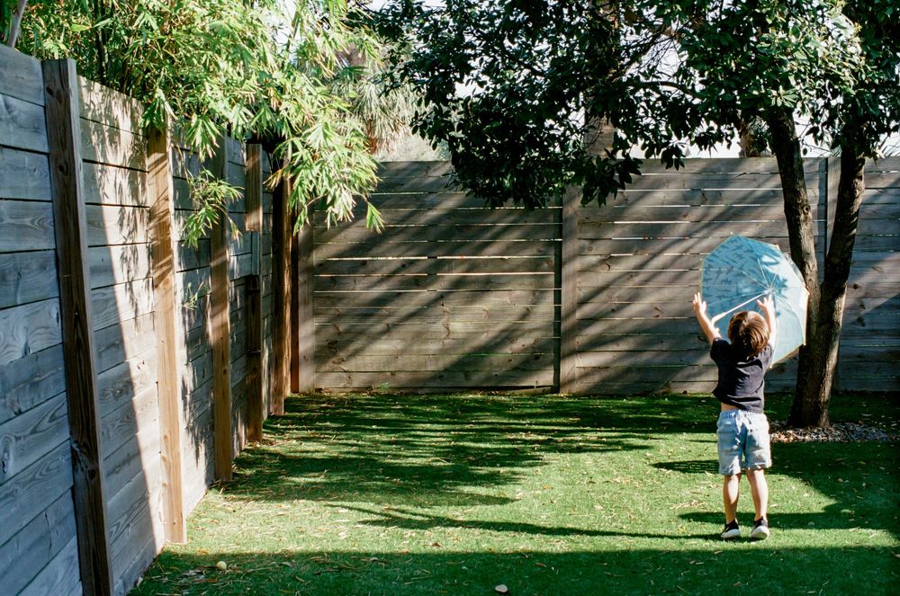 Child playing with a blue pinwheel toy in a lush green backyard surrounded by wooden fences and trees.