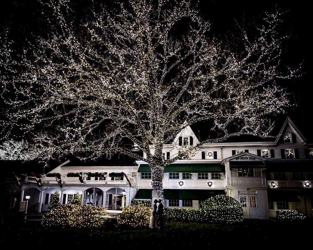 Row of houses illuminated at night with bare tree branches silhouetted against a dark sky.