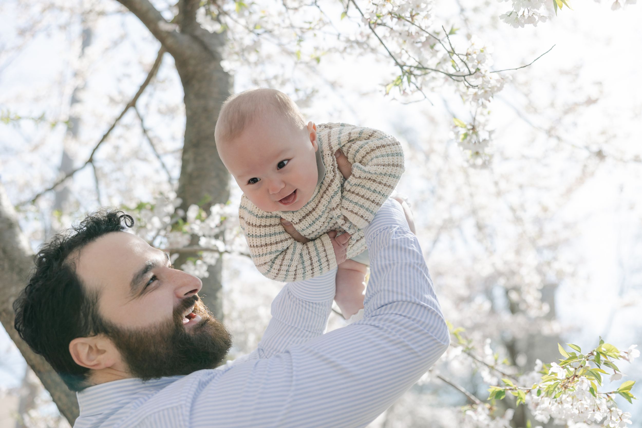 A bearded man holds a baby up in the air surrounded by blooming cherry blossom trees on a bright spring day.