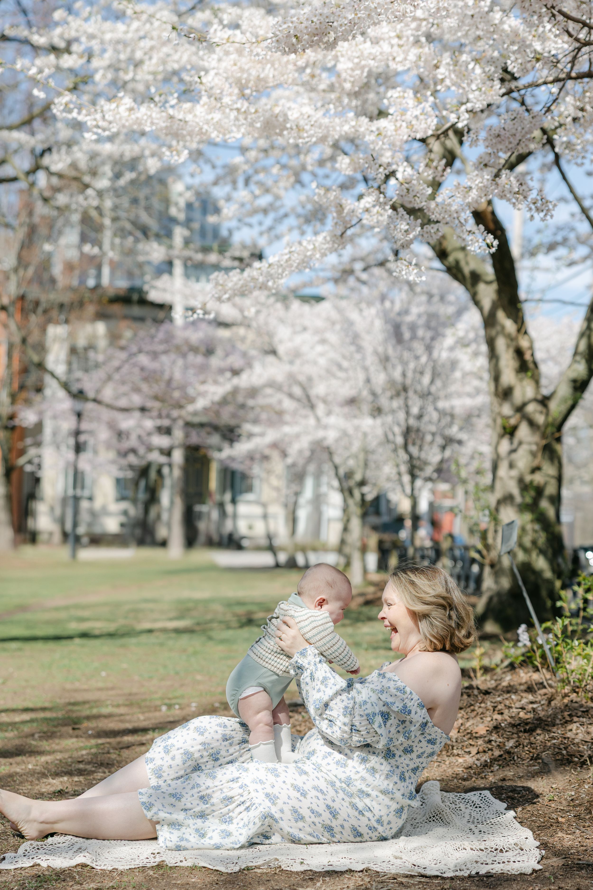 Romantic spring scene under blooming cherry blossoms with a white blanket spread on grass in a park setting.