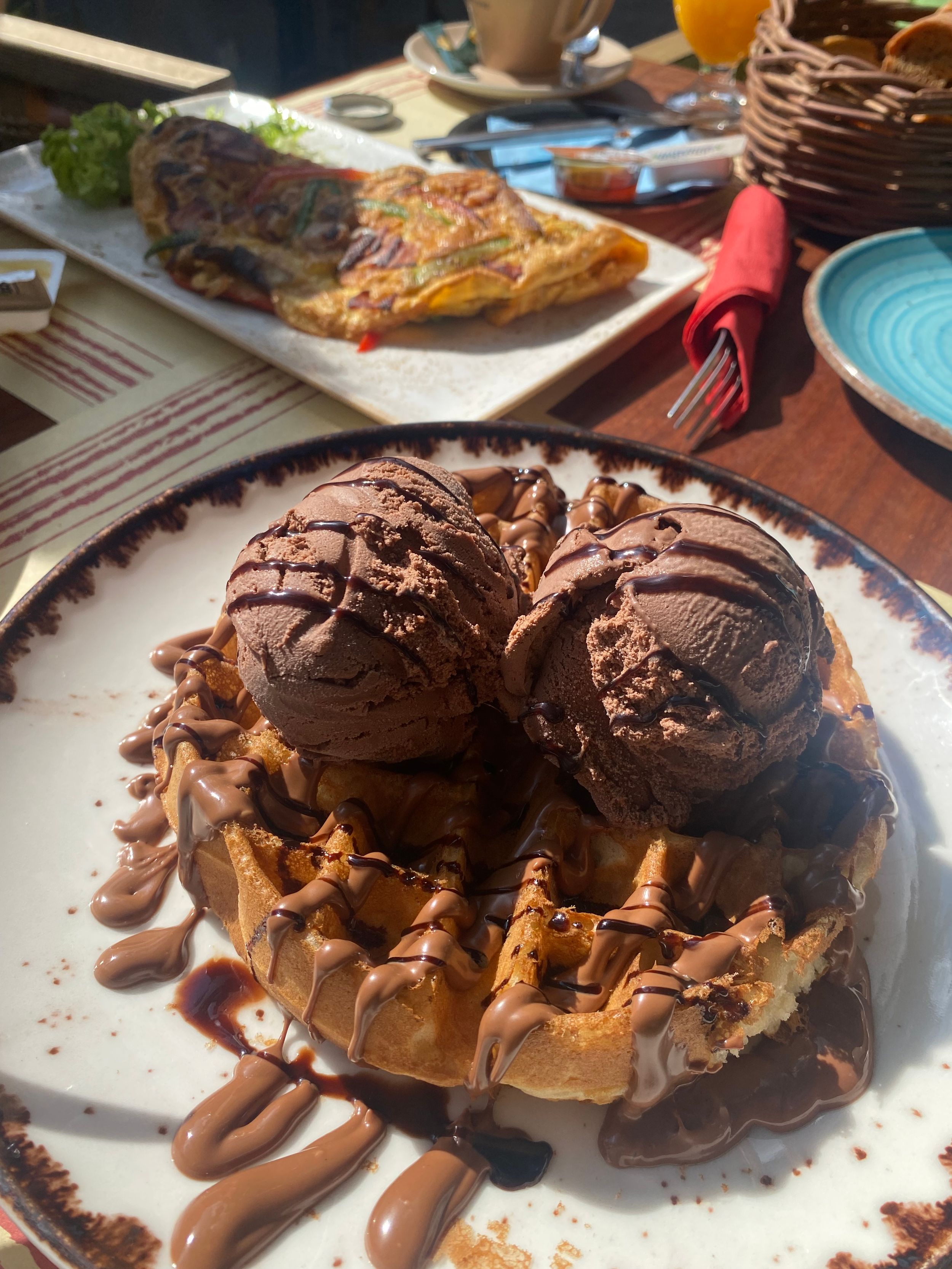 Decadent chocolate ice cream scoops drizzled with sauce and toppings on a decorative plate.