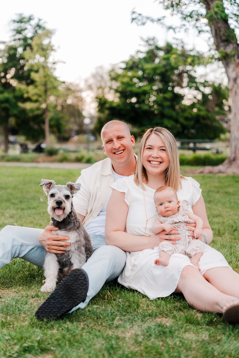 Happy family with baby and schnauzer dog sitting on green grass in a sunny park, wearing white outfits.