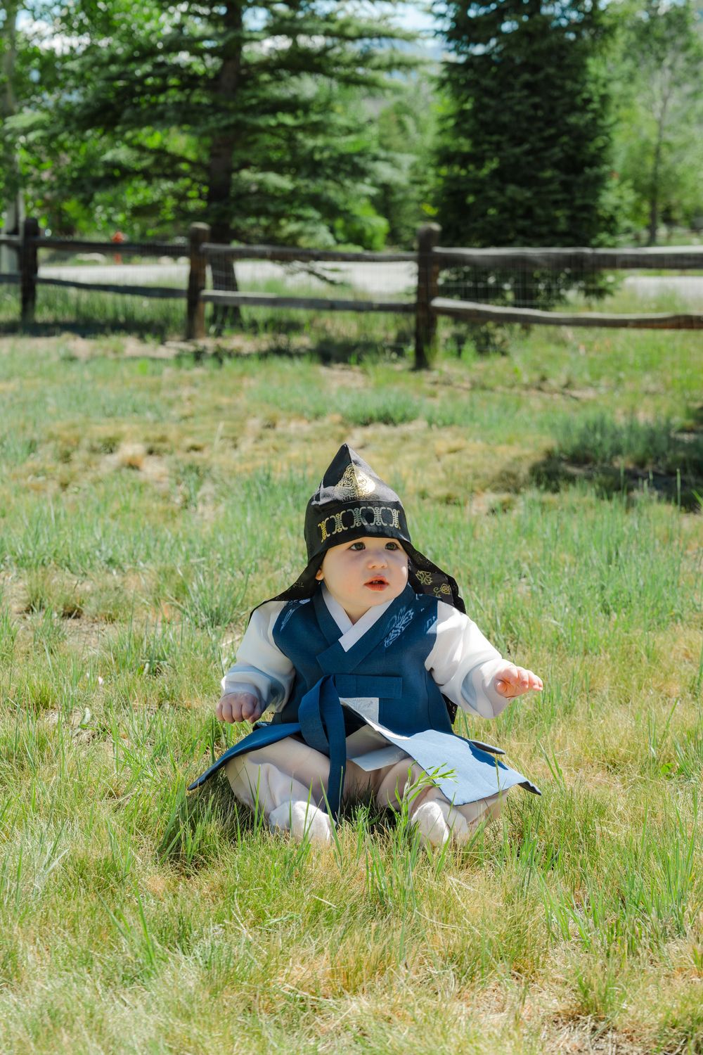 Baby in traditional Korean hanbok outfit with decorative hat sitting on green grass outdoors.