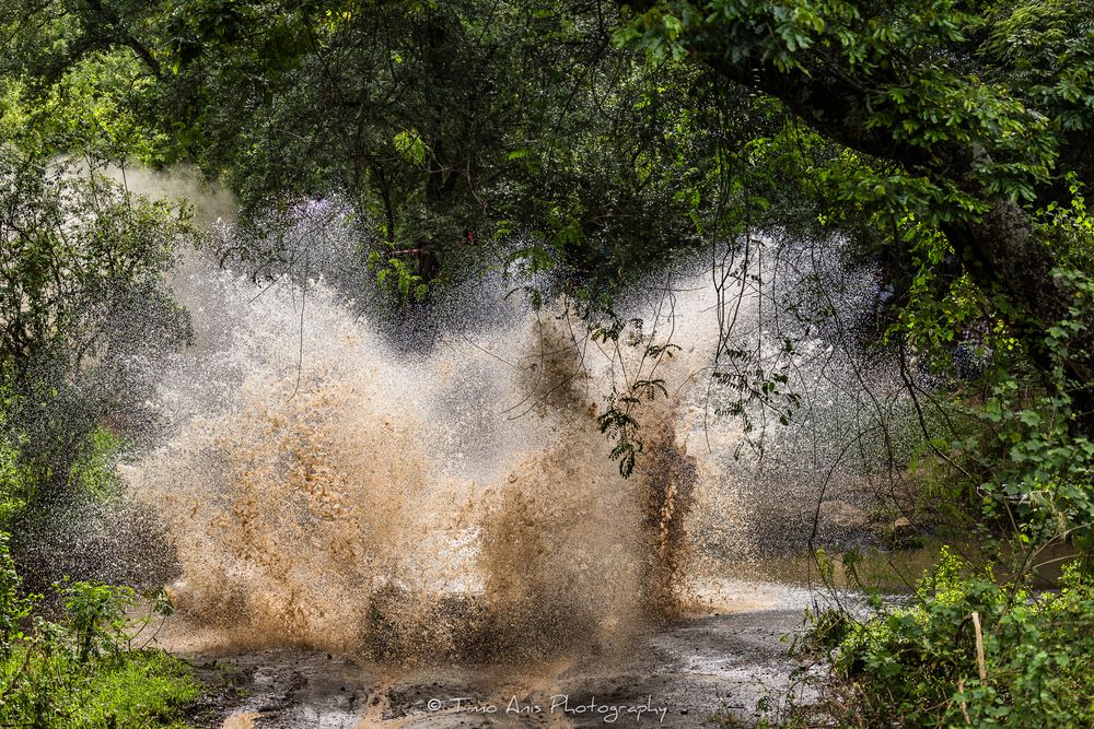 A series of seven action shots showing a vehicle splashing through muddy water on a forest trail.