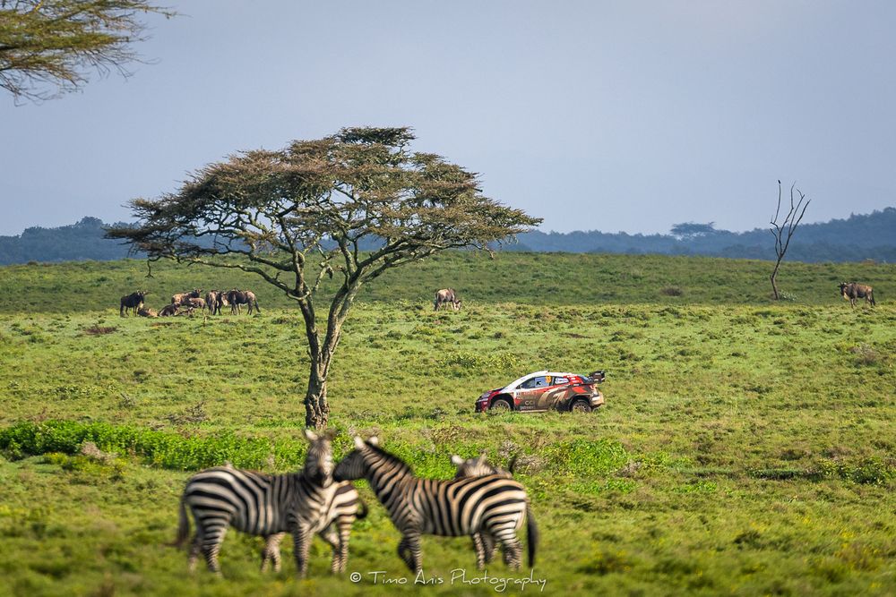 Safari vehicles and wildlife including zebras gather on the green savanna plains under an expansive African sky.
