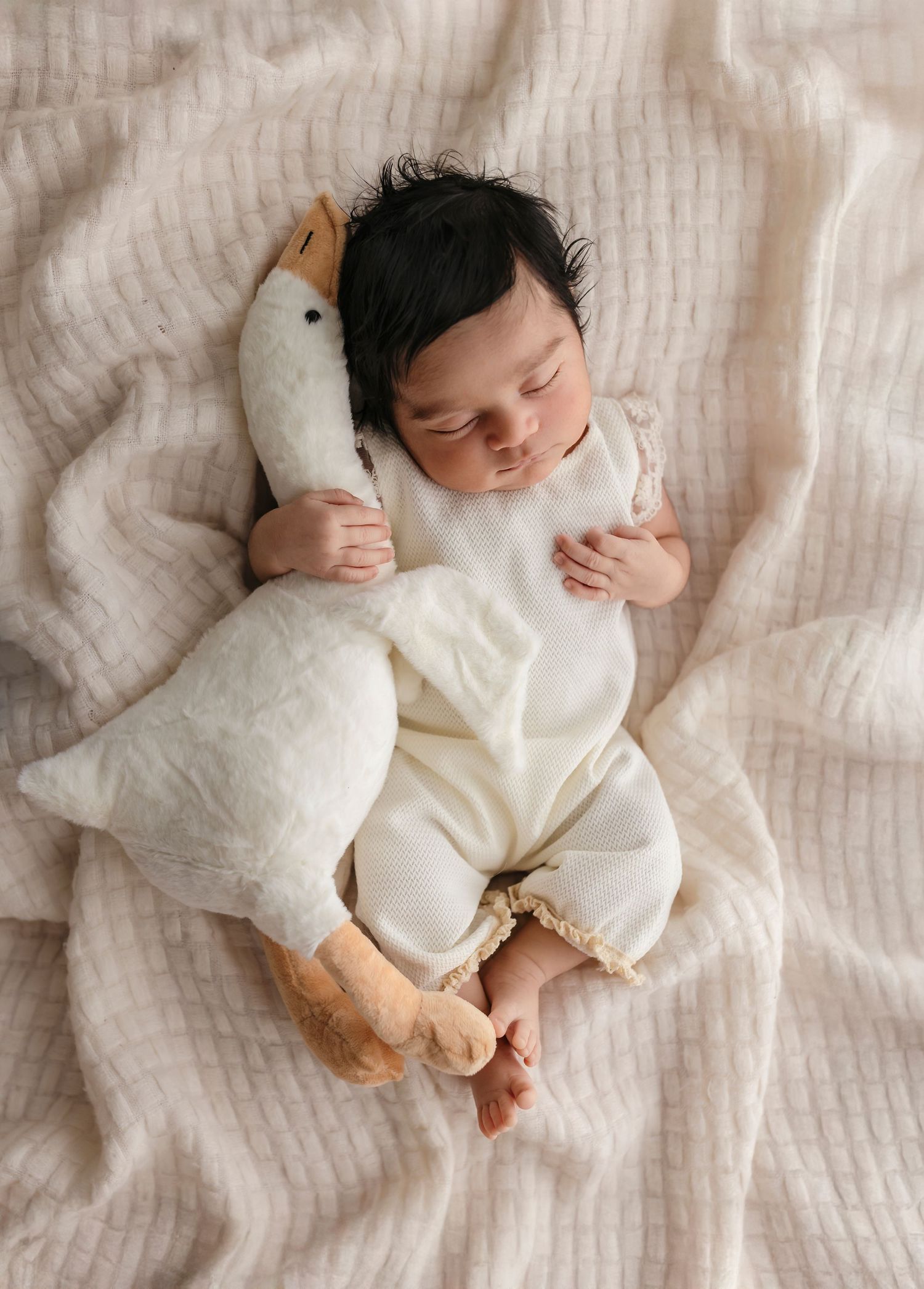 Newborn girl sleeps holding a plush goose against a neutral blanket by Charlottesville baby photographer, Somerset Portraits.
