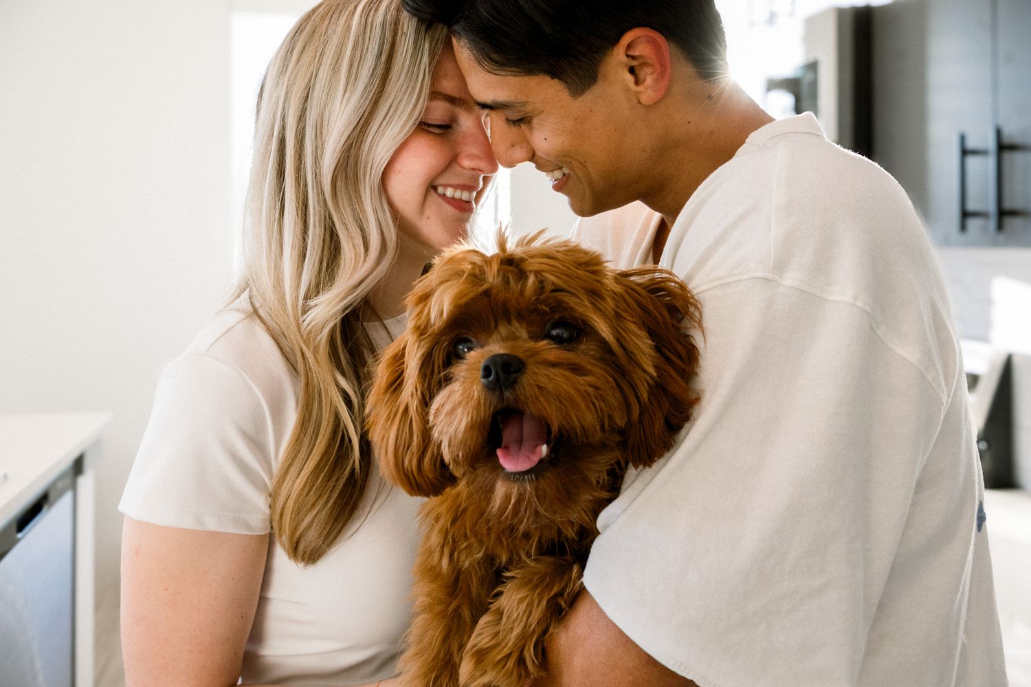 couple holding dog