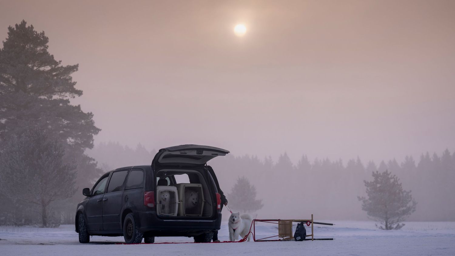 A panoramic winter scene shows cars parked along a snowy road at sunset with evergreen trees in the background.