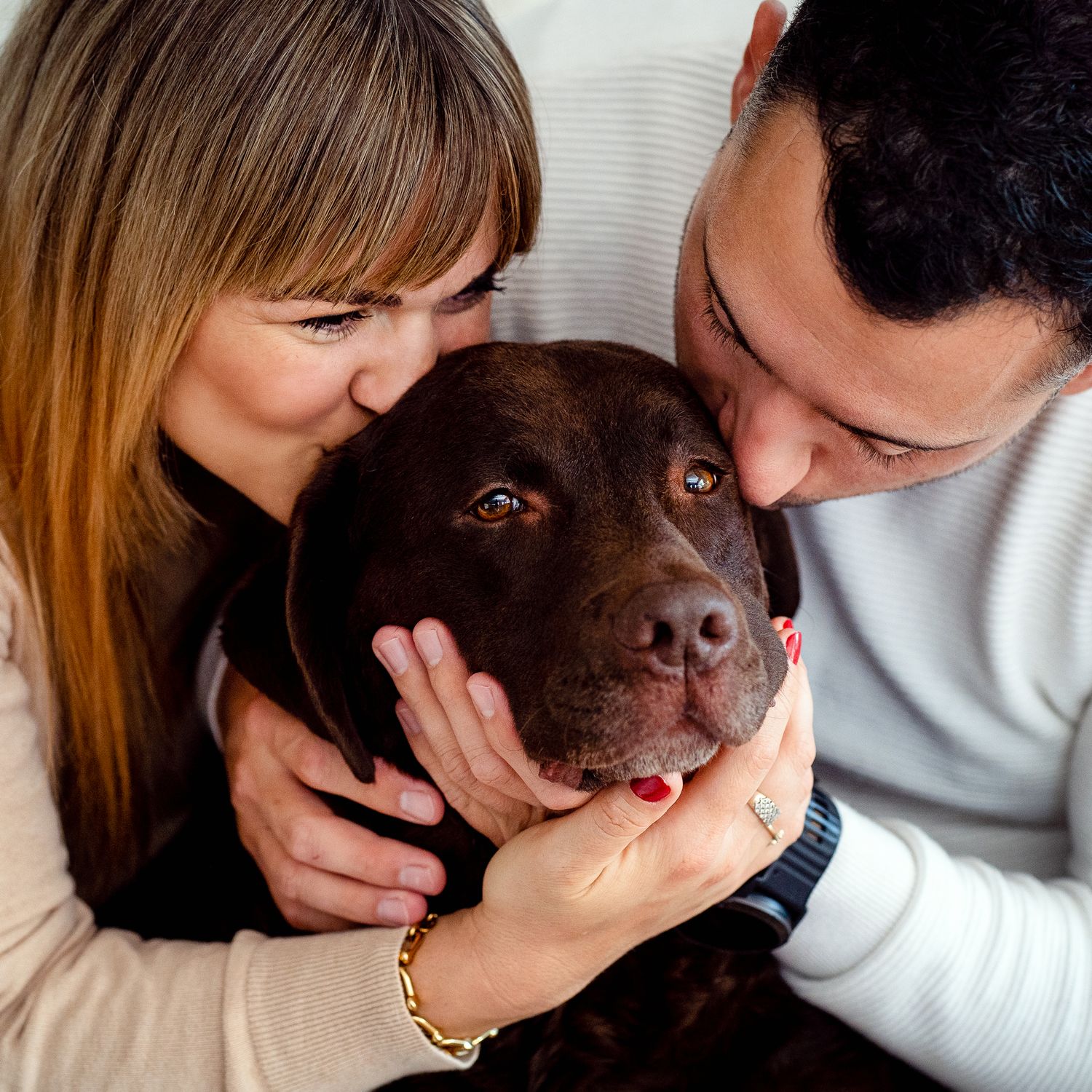 Sydney photographer near me taking photos of a couple with their labrador dog