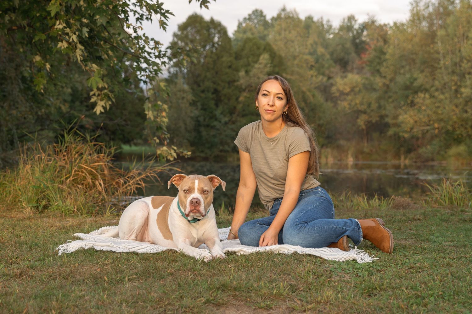 A series of warm sunset photos showing dogs playing and exercising in a grassy field during golden hour.